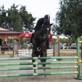 Poni club