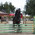 Poni club