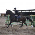 Poni club