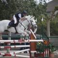 Poni club