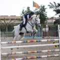 Poni club