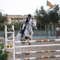 Poni club