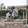 Poni club