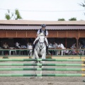 Poni club