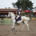 Poni club