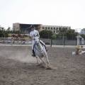 Poni club