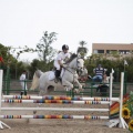 Poni club