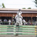 Poni club