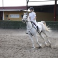 Poni club