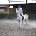 Poni club