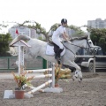 Poni club