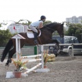 Poni club