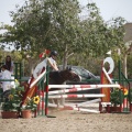 Poni club