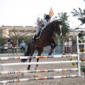 Poni club