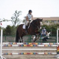 Poni club