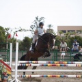 Poni club