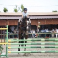 Poni club