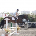 Poni club