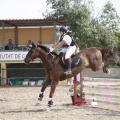 Poni club