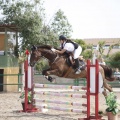 Poni club