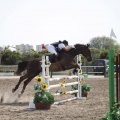 Poni club