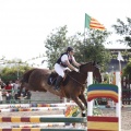 Poni club