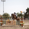 Poni club
