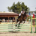 Poni club