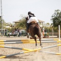 Poni club