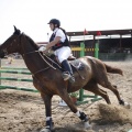 Poni club