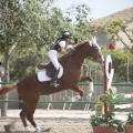 Poni club