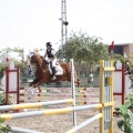 Poni club