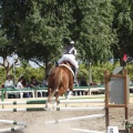Poni club