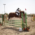 Poni club