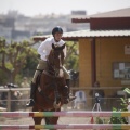 Poni club