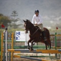 Poni club