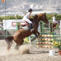 Poni club
