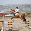 Poni club