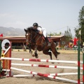 Poni club