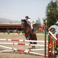 Poni club