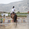 Poni club