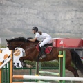 Poni club