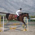 Poni club
