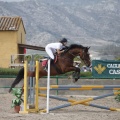 Poni club