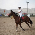 Poni club