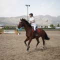 Poni club