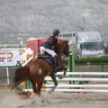 Poni club