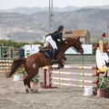 Poni club
