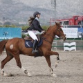 Poni club
