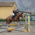 Poni club